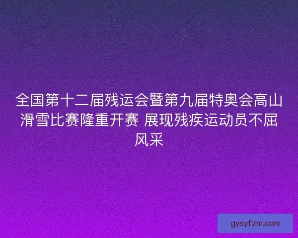 全国第十二届残运会暨第九届特奥会高山滑雪比赛隆重开赛 展现残疾运动员不屈风采