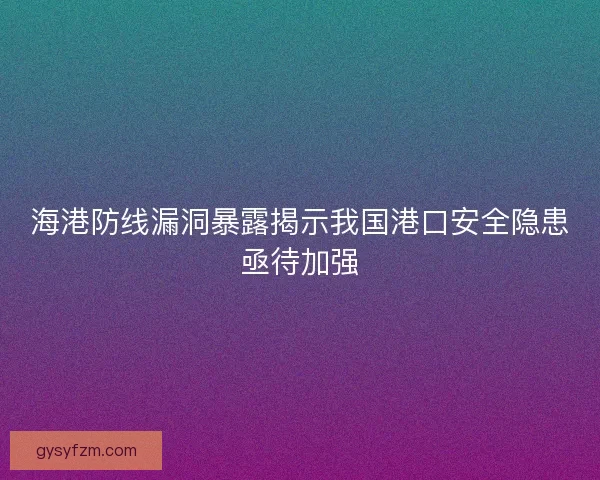 海港防线漏洞暴露揭示我国港口安全隐患亟待加强
